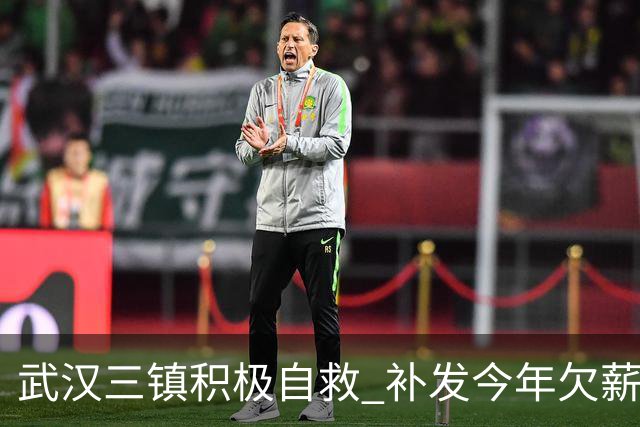 武汉三镇积极自救 补发今年欠薪 准入大概率会解决